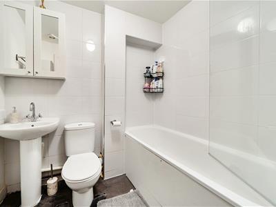 Picture 8